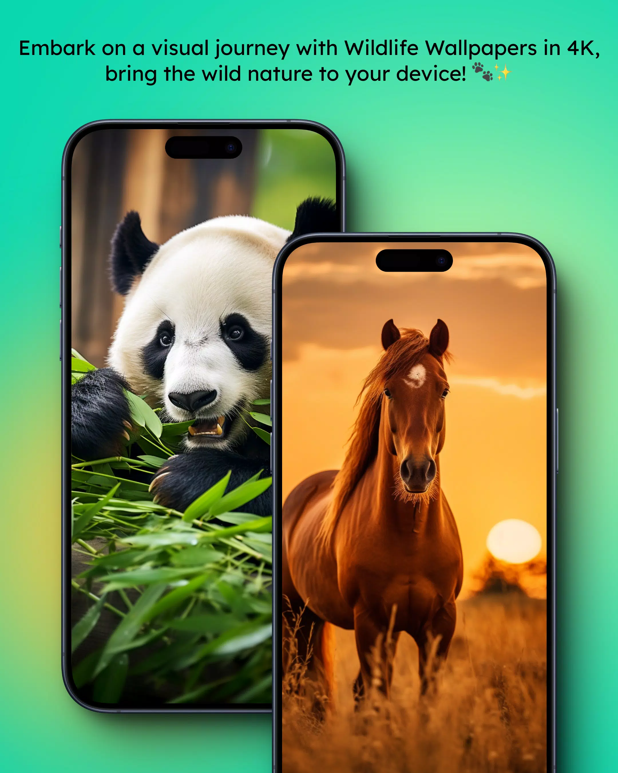 Animal Wallpapers 4K Screenshots