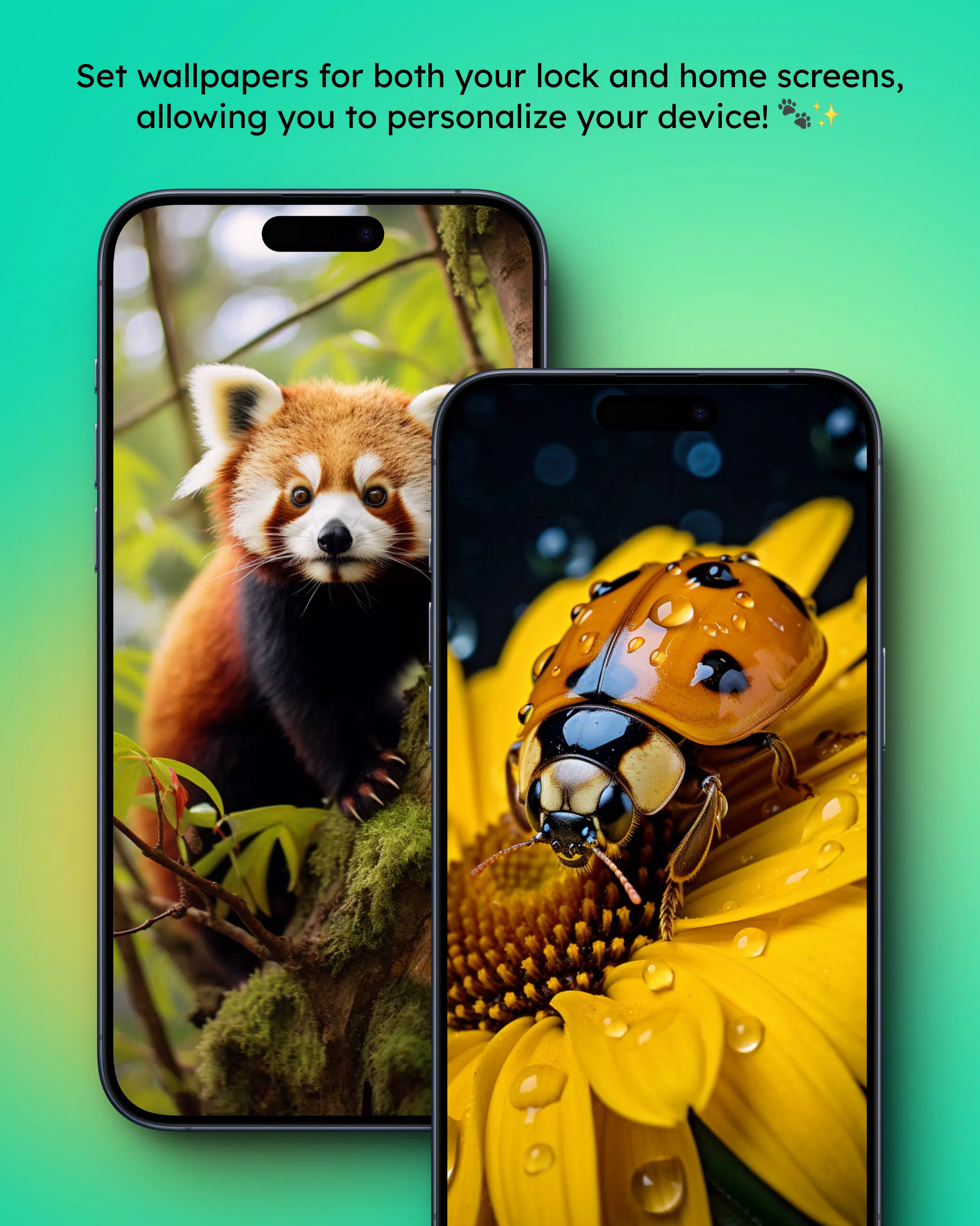 Animal Wallpapers 4K Screenshots