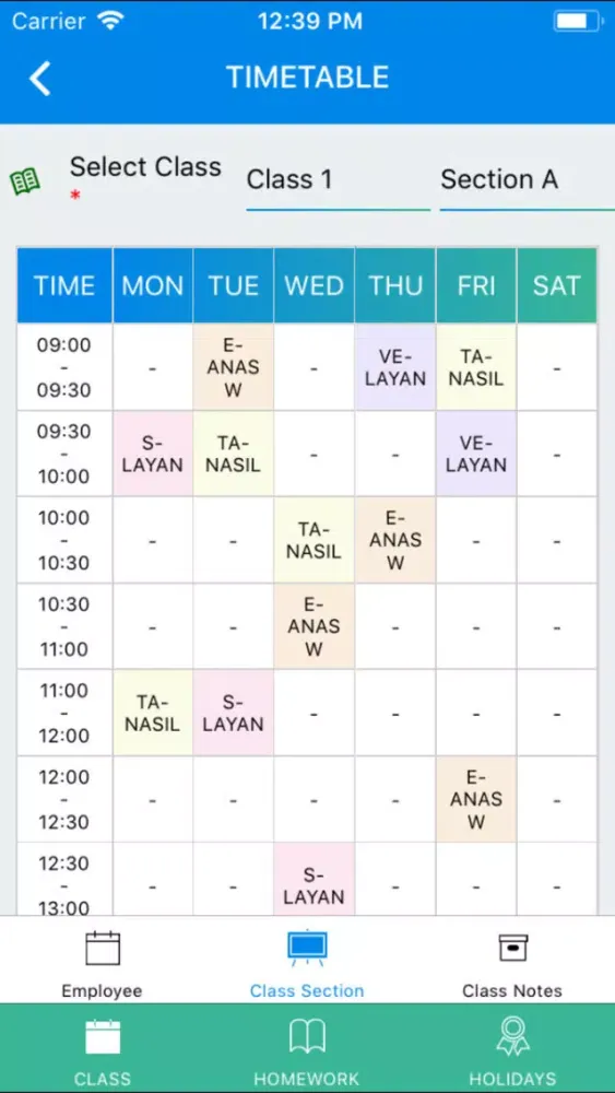 ภาพหน้าจอของ SAFAEMS