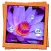 Lotus Live Wallpaper