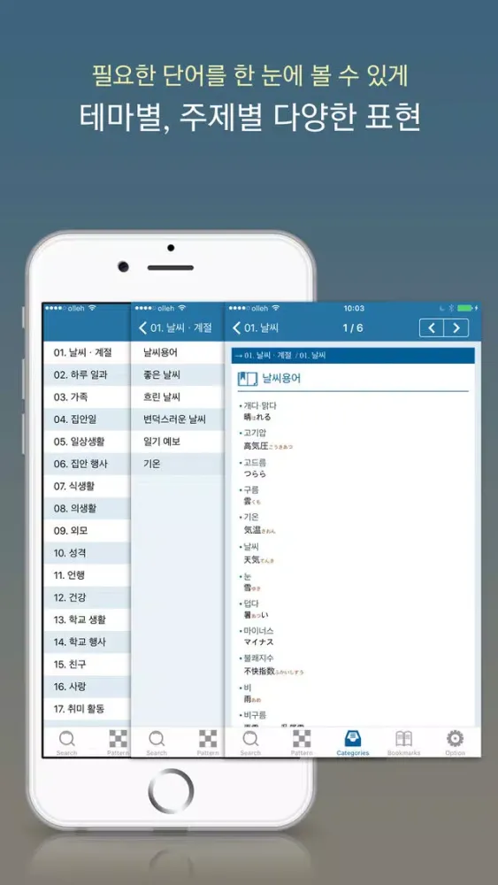 NEXUS 일본어일기 표현사전 Screenshots