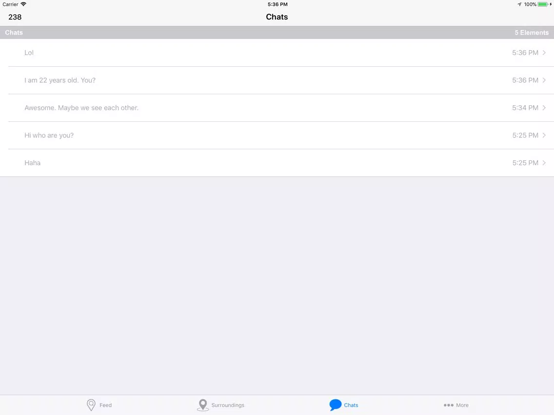 ภาพหน้าจอของ Stizzle iPad 