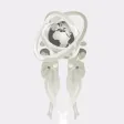 Universal Platinium