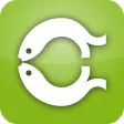 Capelle ad IJssel - Om Alert