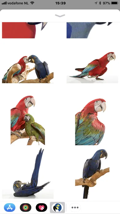 صور Macaw Stickerpack