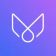 Quantum Life: Manifestation Quantum Life: Manifestation
