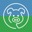 PigVision Mobile Sows PigVision Mobile Sows