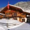 Chalets Oostenrijk