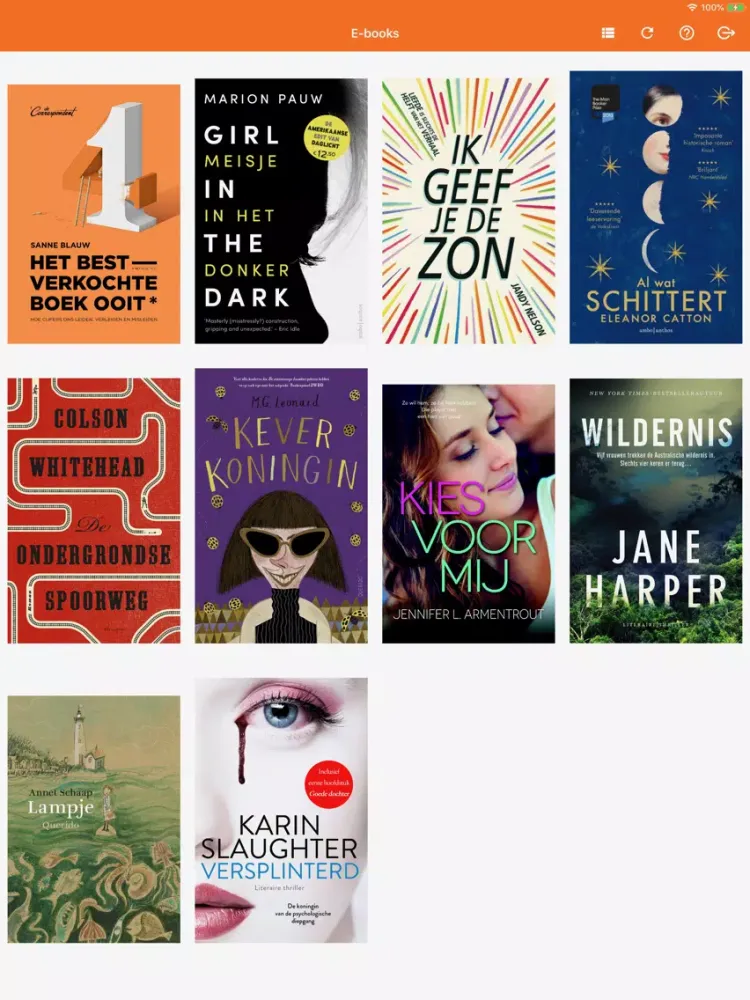Capturas de pantalla de E-books iPad 