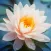 Wisdom of Buddha