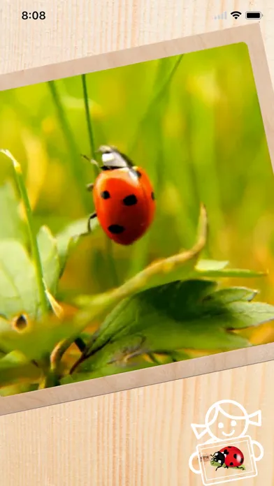 Rolf AR Life of the Ladybird Screenshots