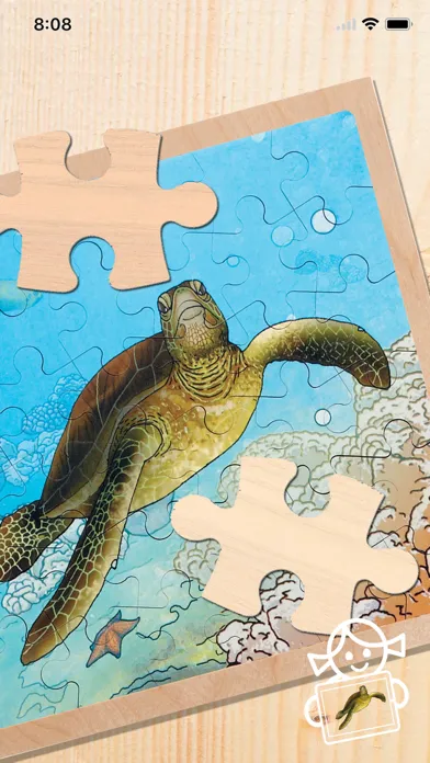 Capturas de tela do Rolf AR Life of the Sea Turtle