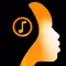 FlowTune: smart music player