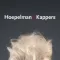 Hoepelman | Kappers