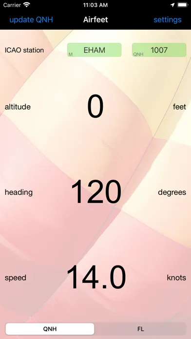 Capturas de pantalla de Airborne Flight Instrument