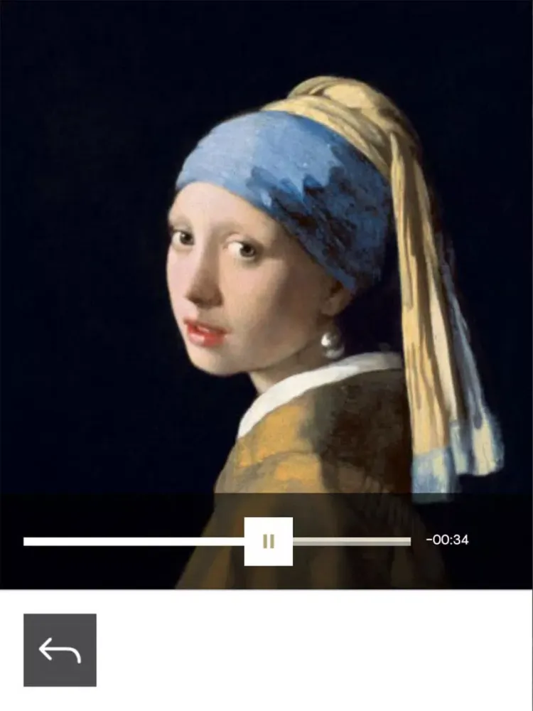 Mauritshuis iPad 应用截图