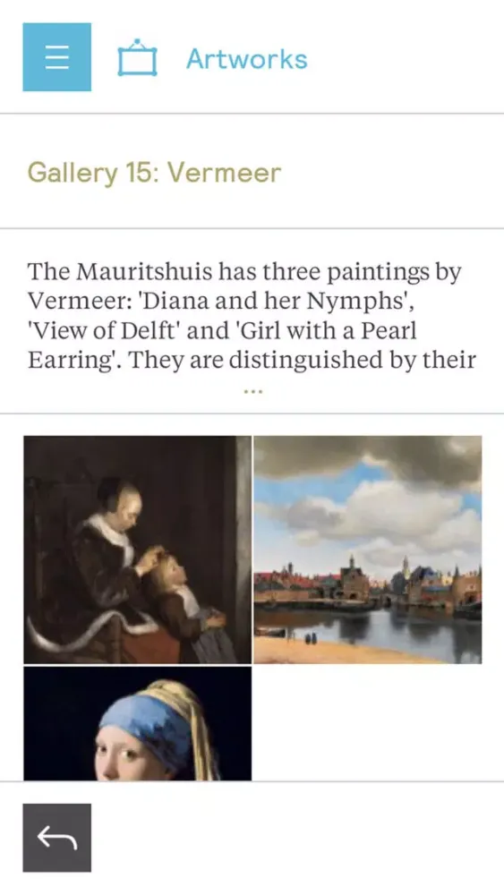 Mauritshuis应用截图