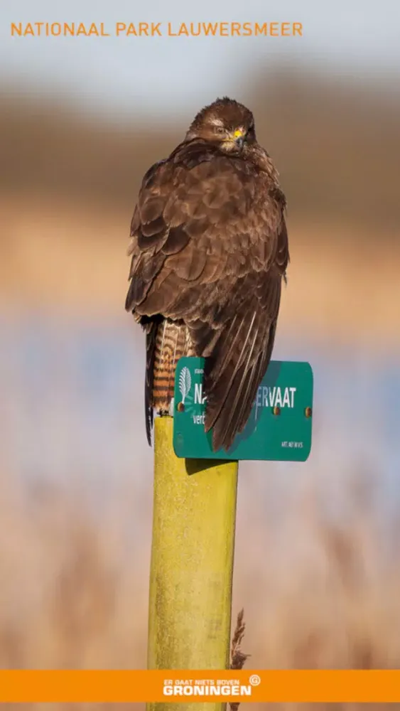 Lauwersmeer স্ক্রিনশট