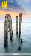 Waddenland Waddenland
