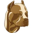 My American Staffordshire Terrier My American Staffordshire Terrier