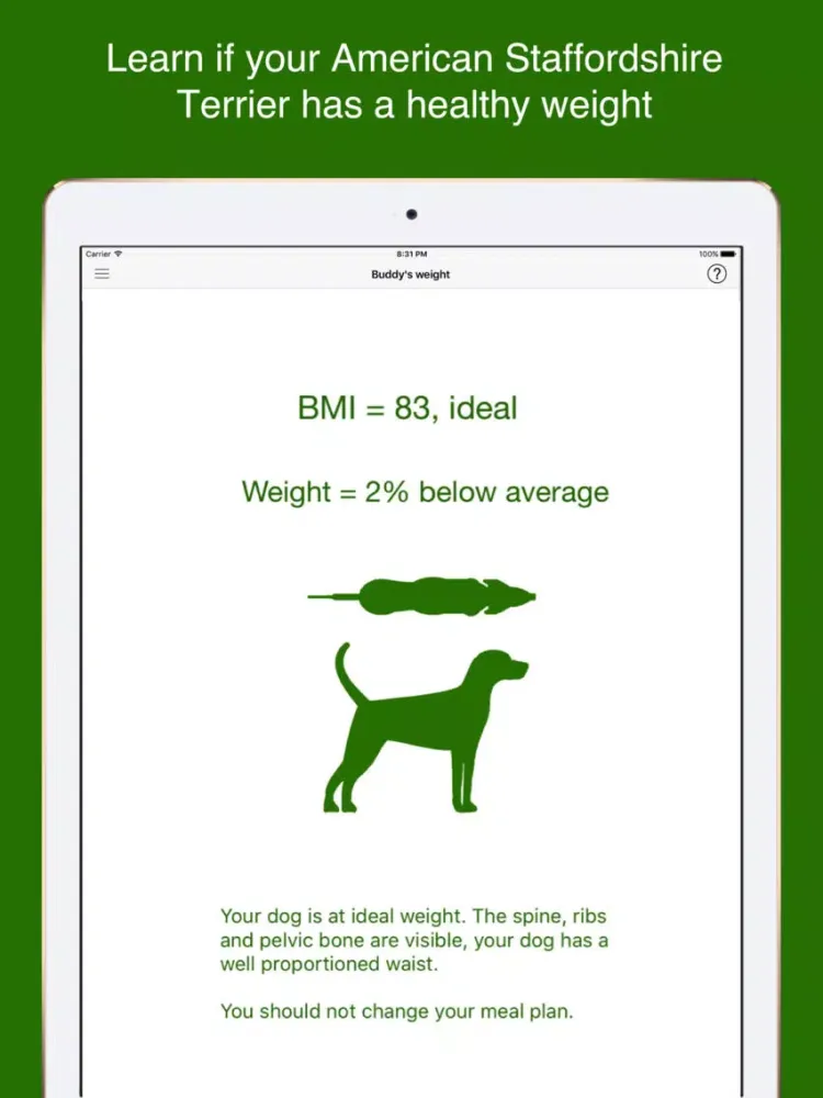 My American Staffordshire Terrier iPad  স্ক্রিনশট