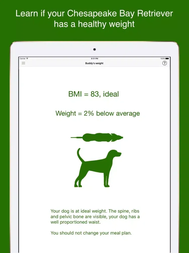 My Chesapeake Bay Retriever iPad  স্ক্রিনশট