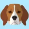 My Beagle!