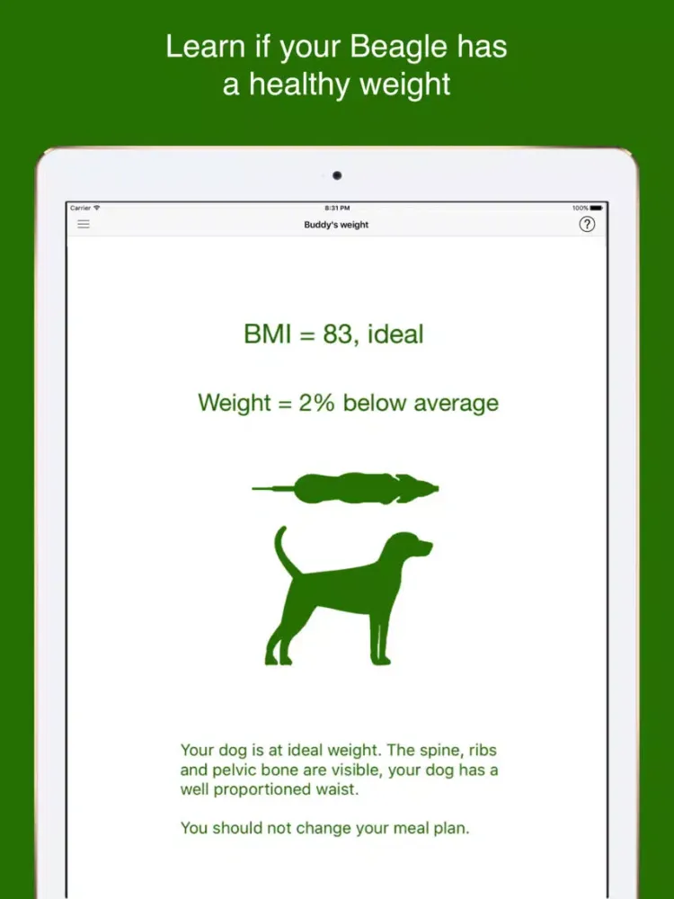 ภาพหน้าจอของ My Beagle! iPad 
