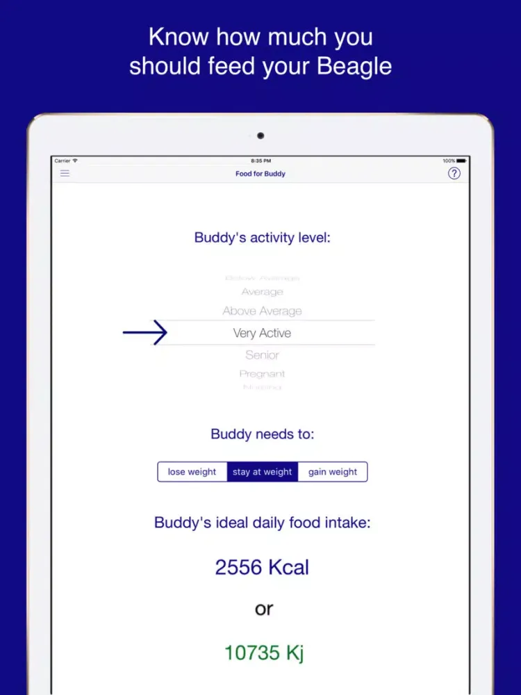 ภาพหน้าจอของ My Beagle! iPad 