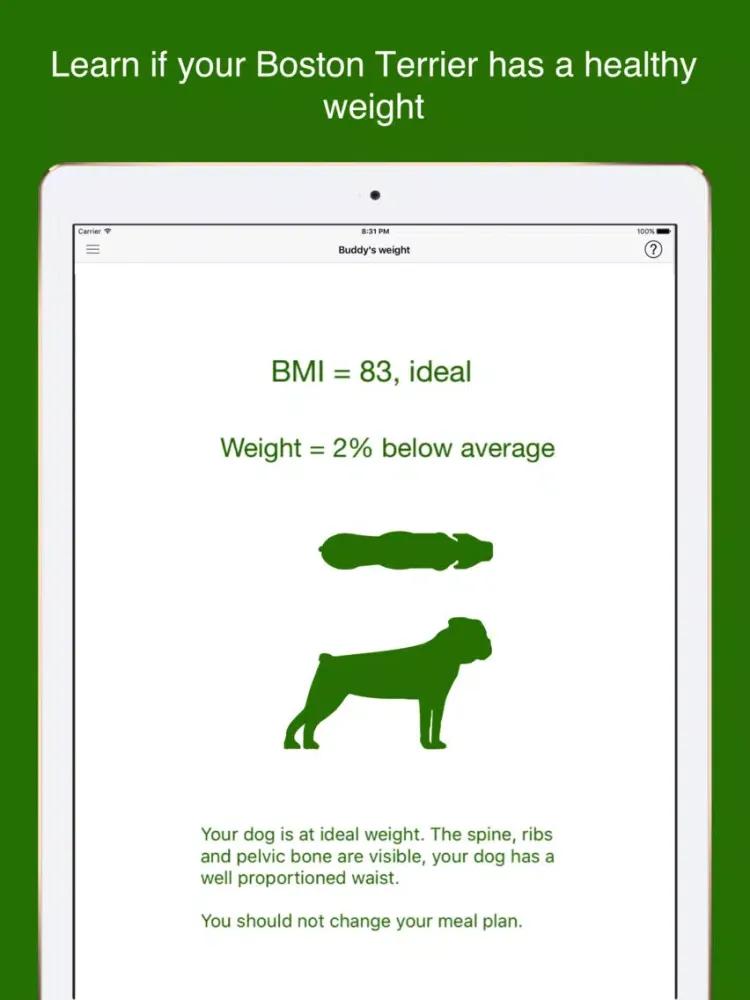 Capturas de tela do My Boston Terrier iPad 