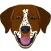 My German Shorthaired Pointer
