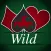 Players Advantage - Joker Wild Strategy