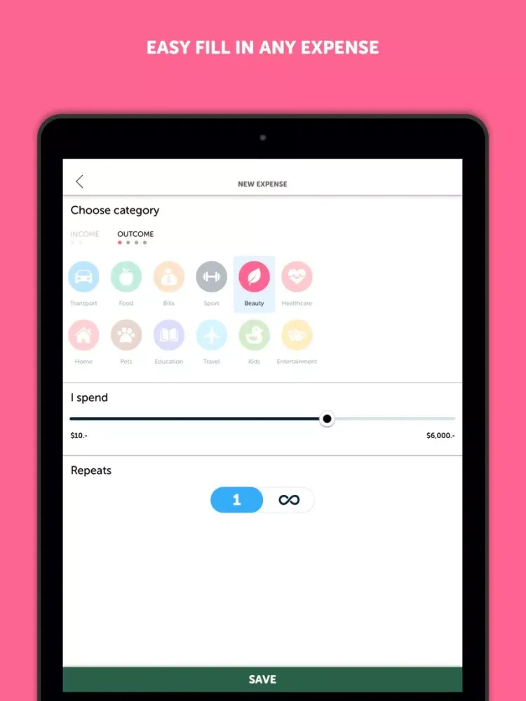 BudgetBook! iPad  Screenshots