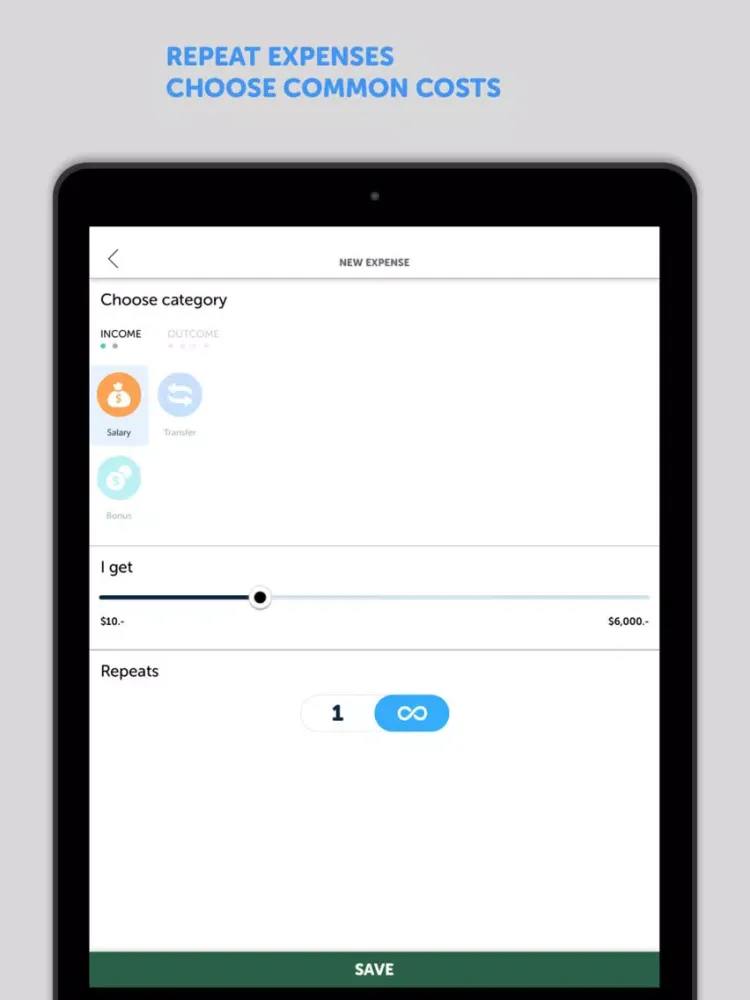 BudgetBook! iPad  Screenshots