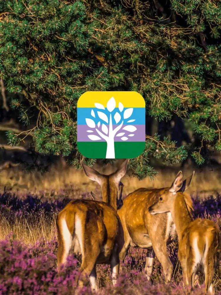 Zrzuty ekranu Jutberg Speurder iPad 