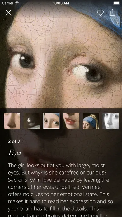 ภาพหน้าจอของ Second Canvas Mauritshuis