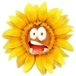 Sunflower Smiley Stickers