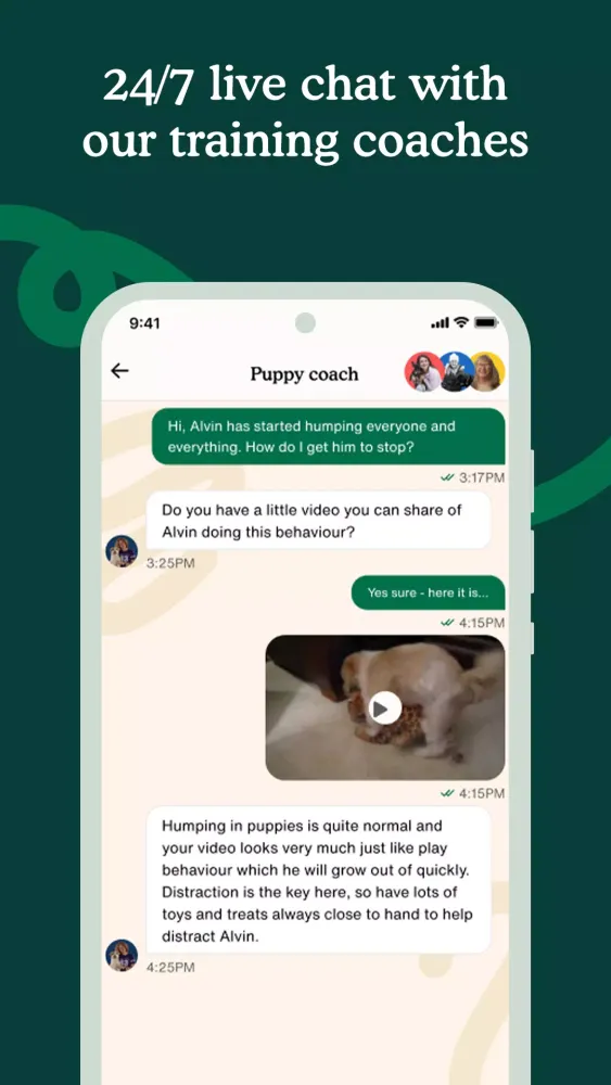 Zigzag Screenshots