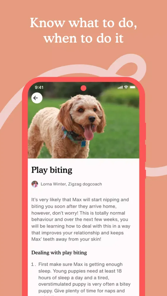 Zigzag Screenshots
