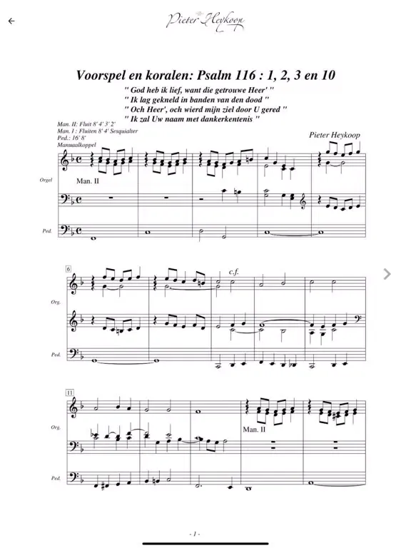 تصاویر Pieter Heykoop Music iPad 