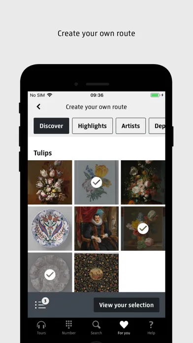 Capturas de pantalla de Rijksmuseum