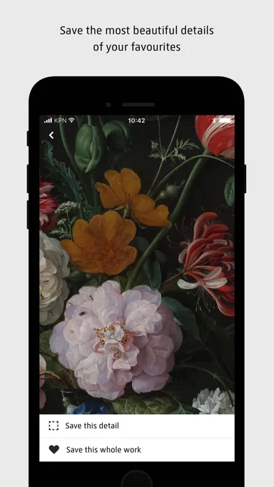 Capturas de pantalla de Rijksmuseum