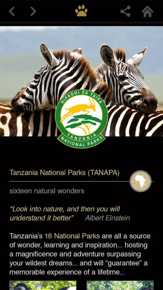 تصاویر Official Destination Tanzania Zanzibar Serengeti Ngorongoro Kilimanjaro with support of The Tanzania Tourist Board