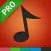 Music top 100 hits PRO version