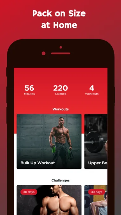 Bulk Up at Home Ekran Görüntüleri
