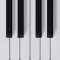 Mini Piano Pro