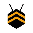 BEE you