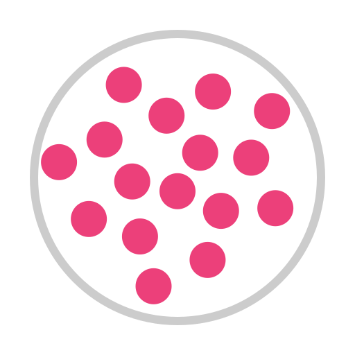 Phyllotaxis