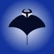 Deep Blue - Manta