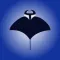 Deep Blue - Manta